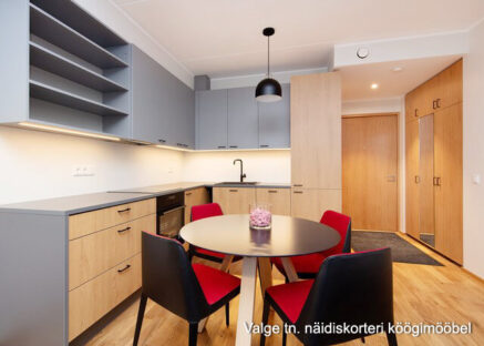 Näidiskorteri köök