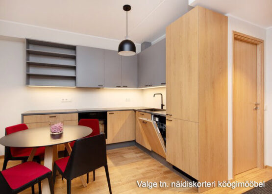 Näidiskorteri köök